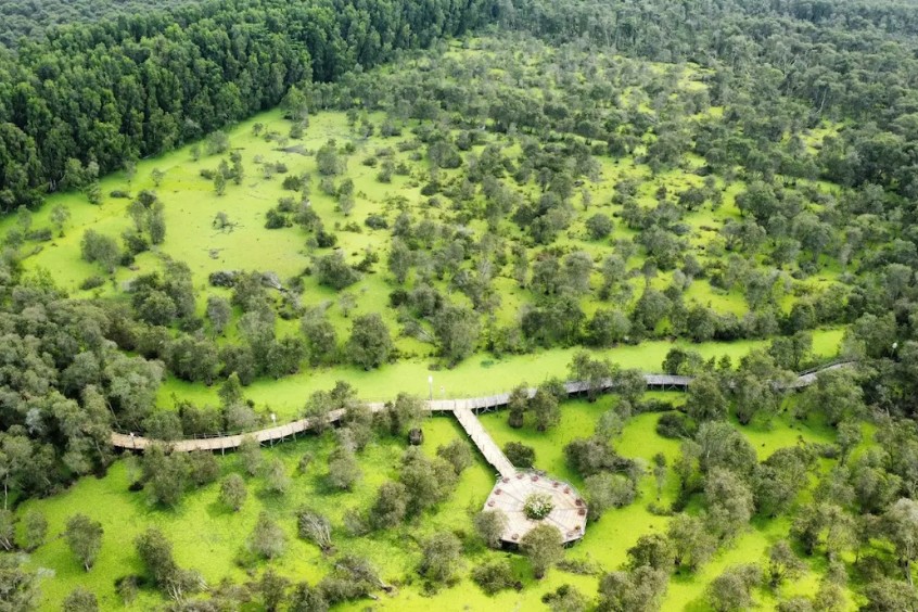 rừng tràm trà sư