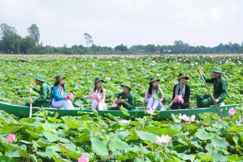 đồng sen tháp mười