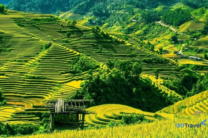 Ruộng bậc thang  tại Pù Luông