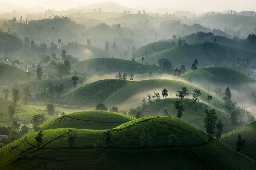 tour du lịch phú thọ