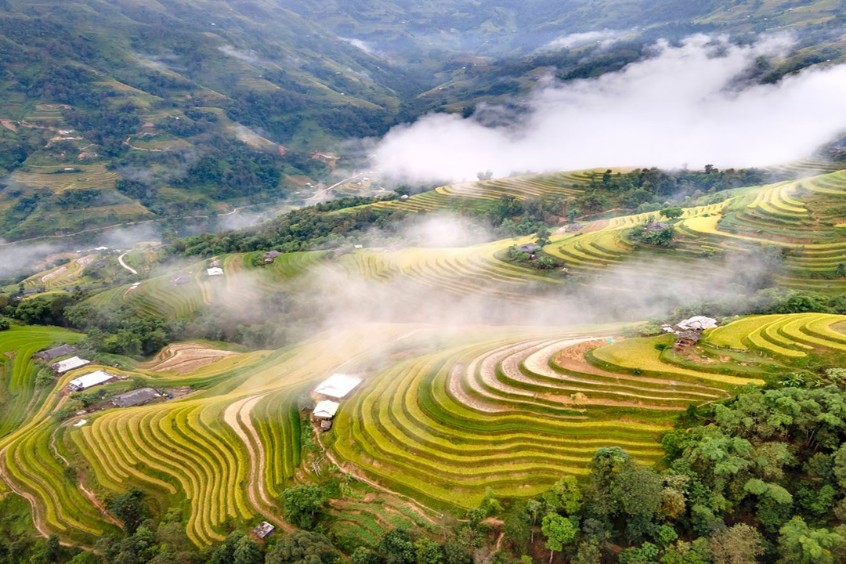 Ruộng bậc thang Pù Luông