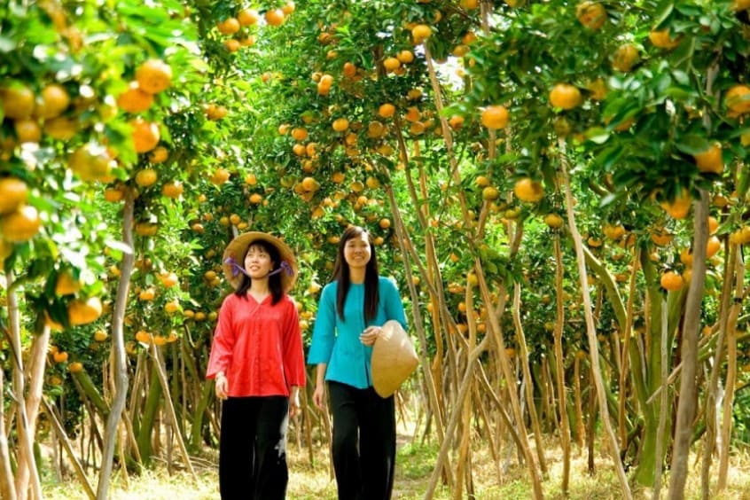 vườn trái cây theo mùa