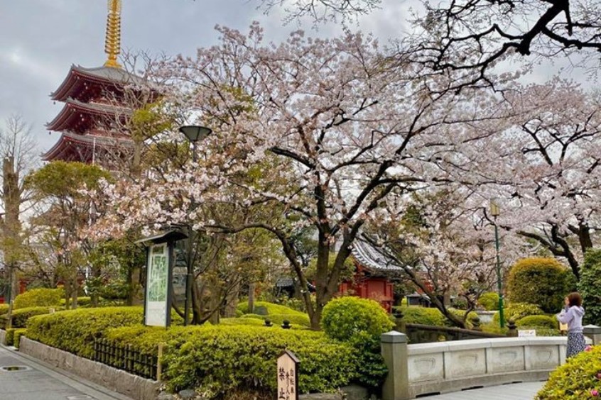  không khí thanh tịnh của những ngày đầu năm