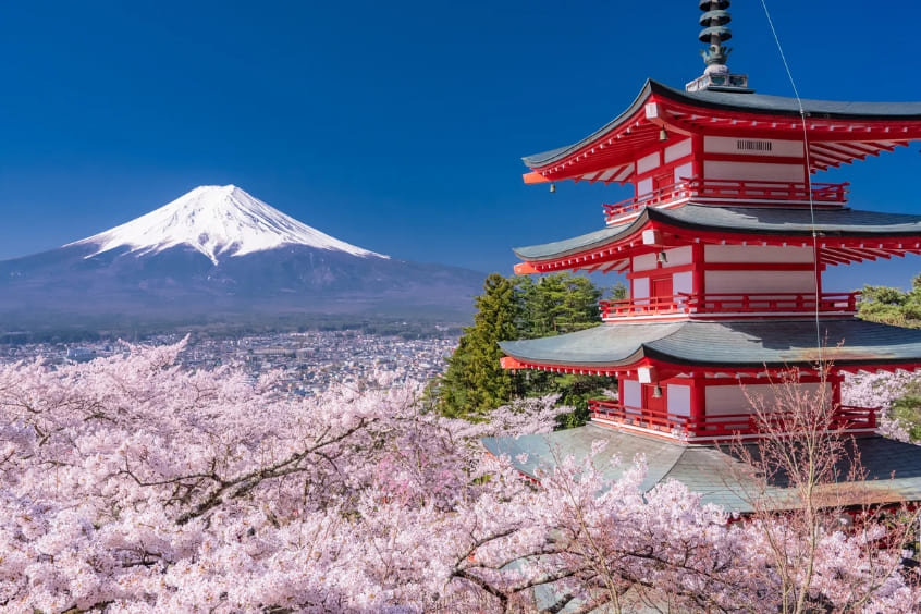 Tour du lịch Nhật Bản đưa bạn khám phá thủ đô Tokyo xinh đẹp 