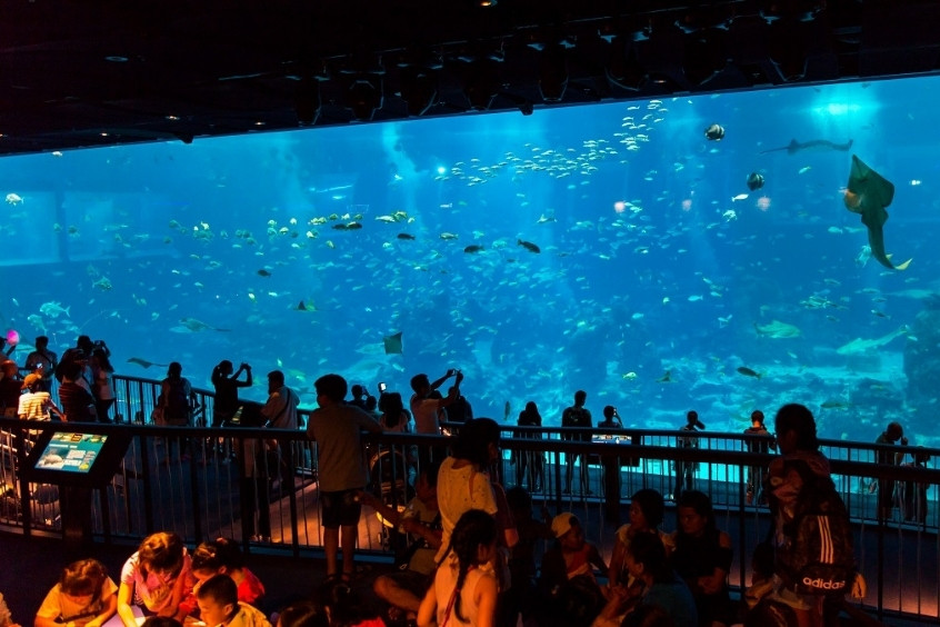 S.E.A Aquarium Singapore
