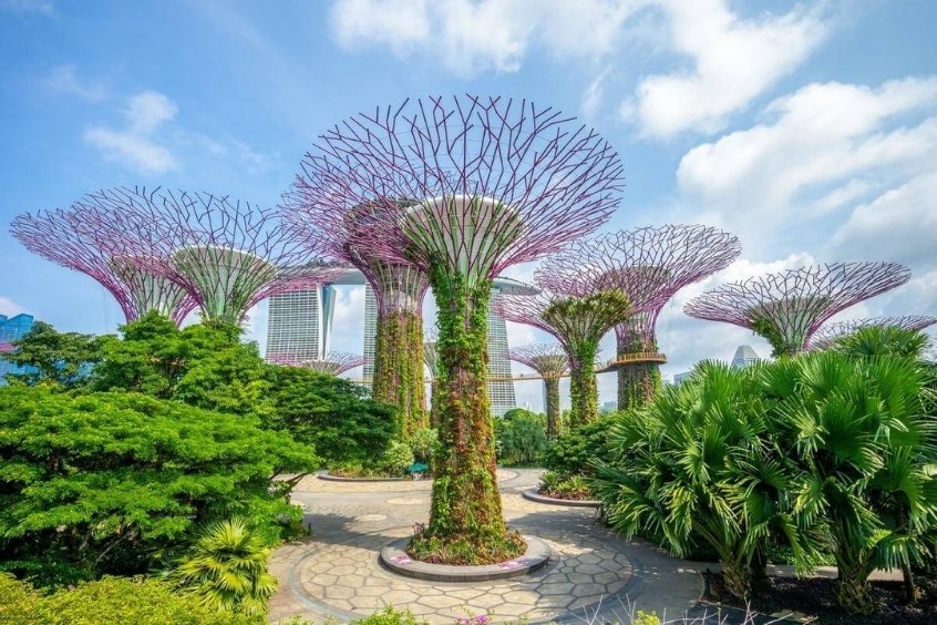 Rừng cây điện Singapore