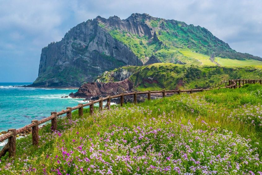 Vẻ đẹp của Jeju được cho là 'thiên đường xanh'