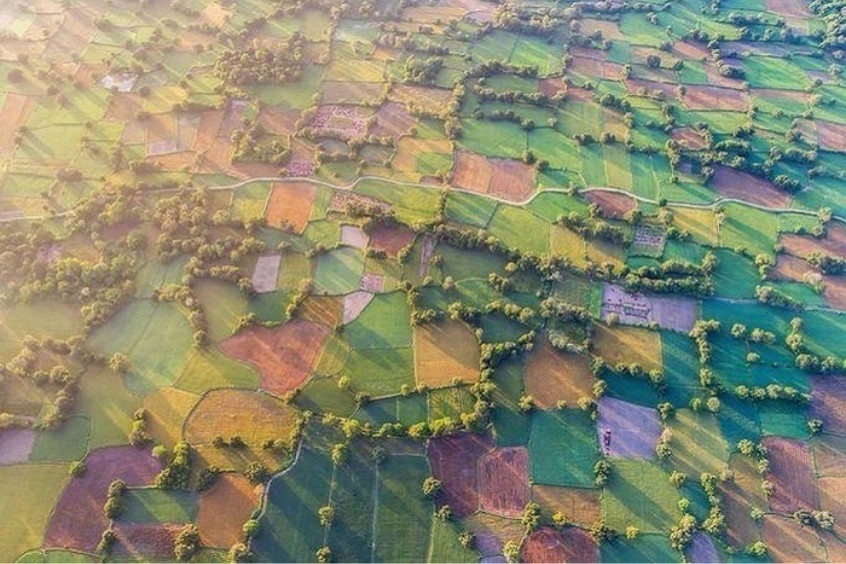 Cánh đồng Tà Pạ An Giang