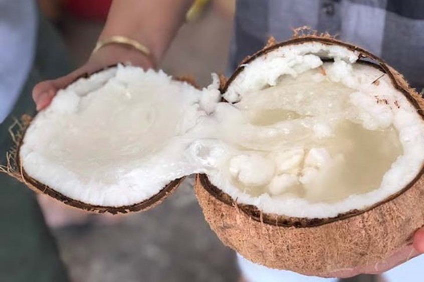 Ăn gì khi đi tour Bến Tre