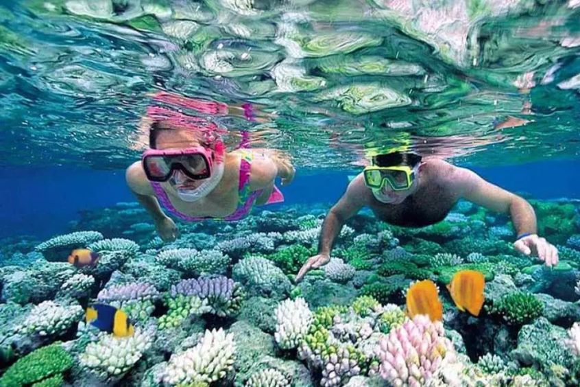 Lưu ý khi lặn nông ngắm san hô