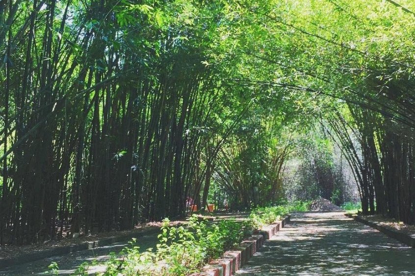 Tour du lịch Đại Nam