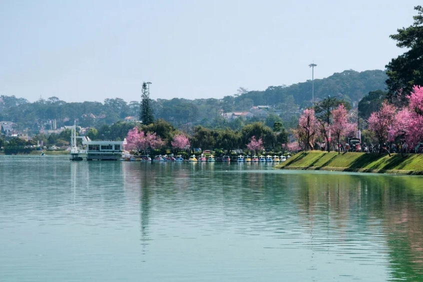 Lịch trình gợi ý tour đà lạt