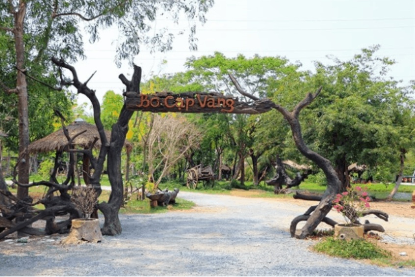 Tour team building dã ngoại