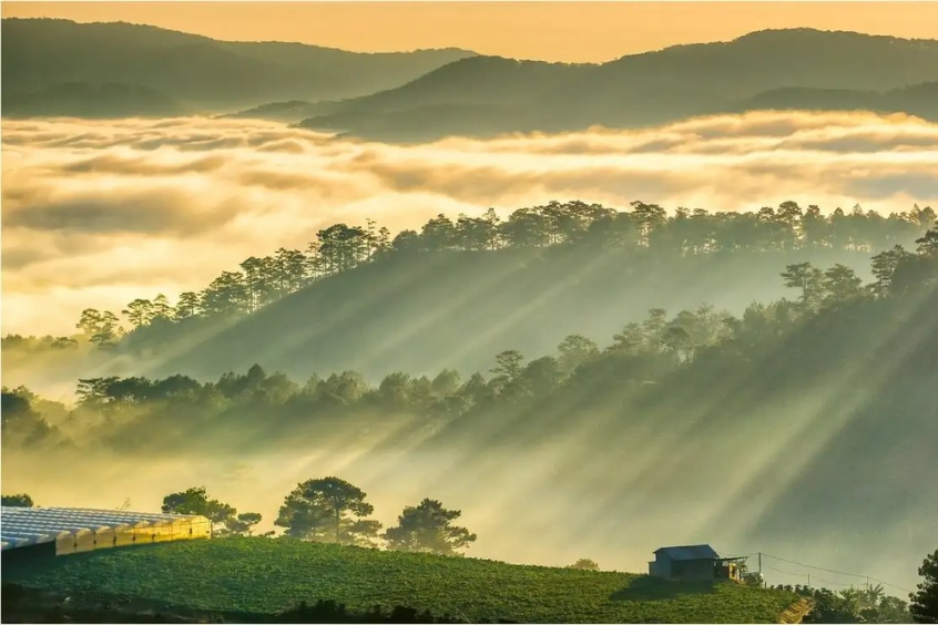 Trại mát Đà Lạt