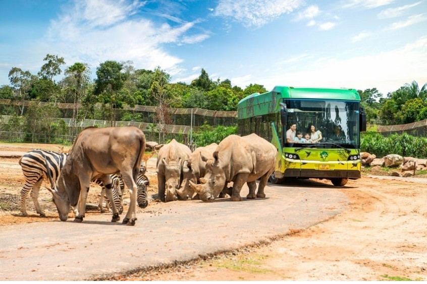 vinpearl safari phú quốc