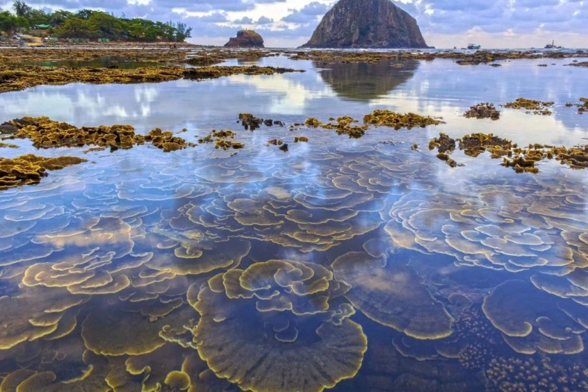 tour du lịch phú yên quy nhơn